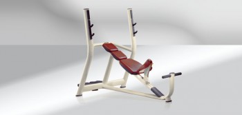 Наклонная скамья для жима Technogym - PROFISPORTZAL - профессиональное спортивное оборудование